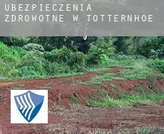 Ubezpieczenia zdrowotne w  Totternhoe