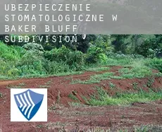 Ubezpieczenie stomatologiczne w  Baker Bluff Subdivision