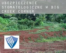 Ubezpieczenie stomatologiczne w  Big Creek Corner