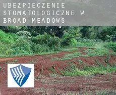 Ubezpieczenie stomatologiczne w Broad Meadows
