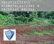 Ubezpieczenie stomatologiczne w  Drishane Bridge