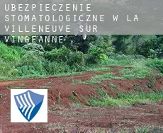Ubezpieczenie stomatologiczne w La Villeneuve-sur-Vingeanne