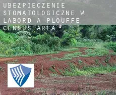 Ubezpieczenie stomatologiczne w  L'Abord-à-Plouffe (census area)