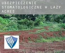 Ubezpieczenie stomatologiczne w  Lazy Acres