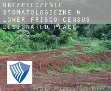 Ubezpieczenie stomatologiczne w  Lower Frisco