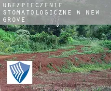 Ubezpieczenie stomatologiczne w New Grove