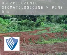 Ubezpieczenie stomatologiczne w  Pine Run