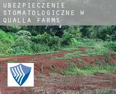 Ubezpieczenie stomatologiczne w  Qualla Farms