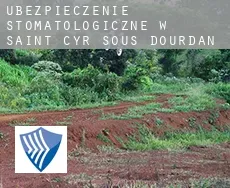 Ubezpieczenie stomatologiczne w Saint-Cyr-sous-Dourdan