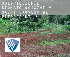 Ubezpieczenie stomatologiczne w  Saint-Sauveur-de-Pierrepont