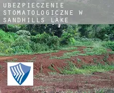 Ubezpieczenie stomatologiczne w  Sandhills Lake