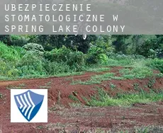 Ubezpieczenie stomatologiczne w  Spring Lake Colony