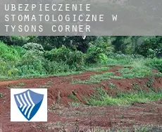 Ubezpieczenie stomatologiczne w Tysons Corner