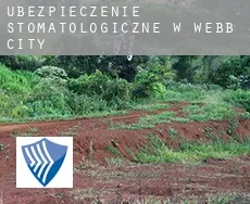 Ubezpieczenie stomatologiczne w  Webb City