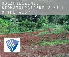 Ubezpieczenie stomatologiczne w Will-O-The-Wisp