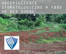 Ubezpieczenie stomatologiczne w  Ybbs an der Donau