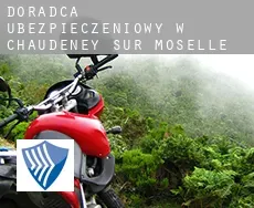 Doradca ubezpieczeniowy w Chaudeney-sur-Moselle