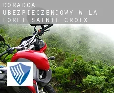 Doradca ubezpieczeniowy w  La Forêt-Sainte-Croix