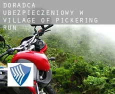 Doradca ubezpieczeniowy w  Village of Pickering Run