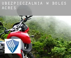 Ubezpieczalnia w  Boles Acres