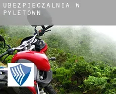 Ubezpieczalnia w  Pyletown