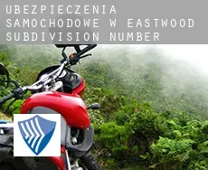 Ubezpieczenia samochodowe w  Eastwood Subdivision Number 7