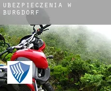 Ubezpieczenia w  Burgdorf