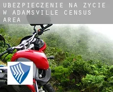 Ubezpieczenie na życie w  Adamsville (census area)