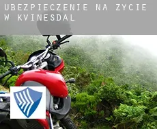 Ubezpieczenie na życie w Kvinesdal