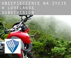 Ubezpieczenie na życie w  Loveland's Subdivision