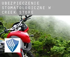 Ubezpieczenie stomatologiczne w  Creek Store