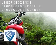 Ubezpieczenie stomatologiczne w  Groseclose Corner