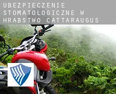 Ubezpieczenie stomatologiczne w  Hrabstwo Cattaraugus
