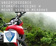 Ubezpieczenie stomatologiczne w Mount Vernon Meadows