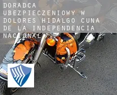 Doradca ubezpieczeniowy w  Dolores Hidalgo Cuna de la Independencia Nacional