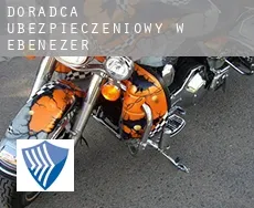 Doradca ubezpieczeniowy w  Ebenezer
