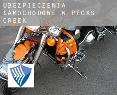 Ubezpieczenia samochodowe w  Pecks Creek