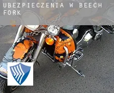 Ubezpieczenia w Beech Fork