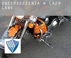 Ubezpieczenia w  Lazy Lake