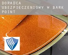 Doradca ubezpieczeniowy w  Bark Point