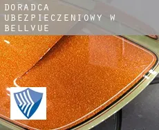 Doradca ubezpieczeniowy w  Bellvue