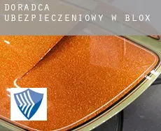 Doradca ubezpieczeniowy w  Blox