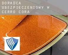 Doradca ubezpieczeniowy w  Cerro Corá