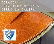 Doradca ubezpieczeniowy w  Cerro La Calera