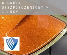 Doradca ubezpieczeniowy w  Chunky