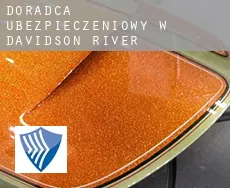 Doradca ubezpieczeniowy w  Davidson River