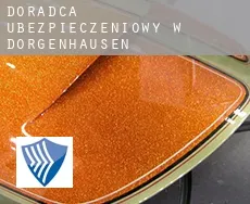 Doradca ubezpieczeniowy w  Dörgenhausen