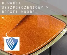 Doradca ubezpieczeniowy w  Drexel Woods