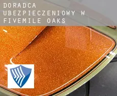 Doradca ubezpieczeniowy w  Fivemile Oaks