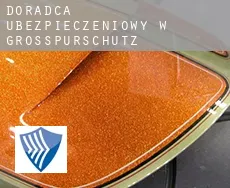 Doradca ubezpieczeniowy w  Großpürschütz